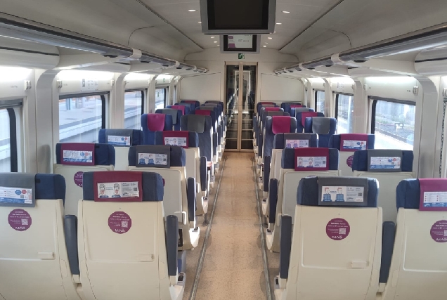 vagon-tren-renfe-dano-cerebral